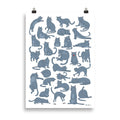 Hajen poster