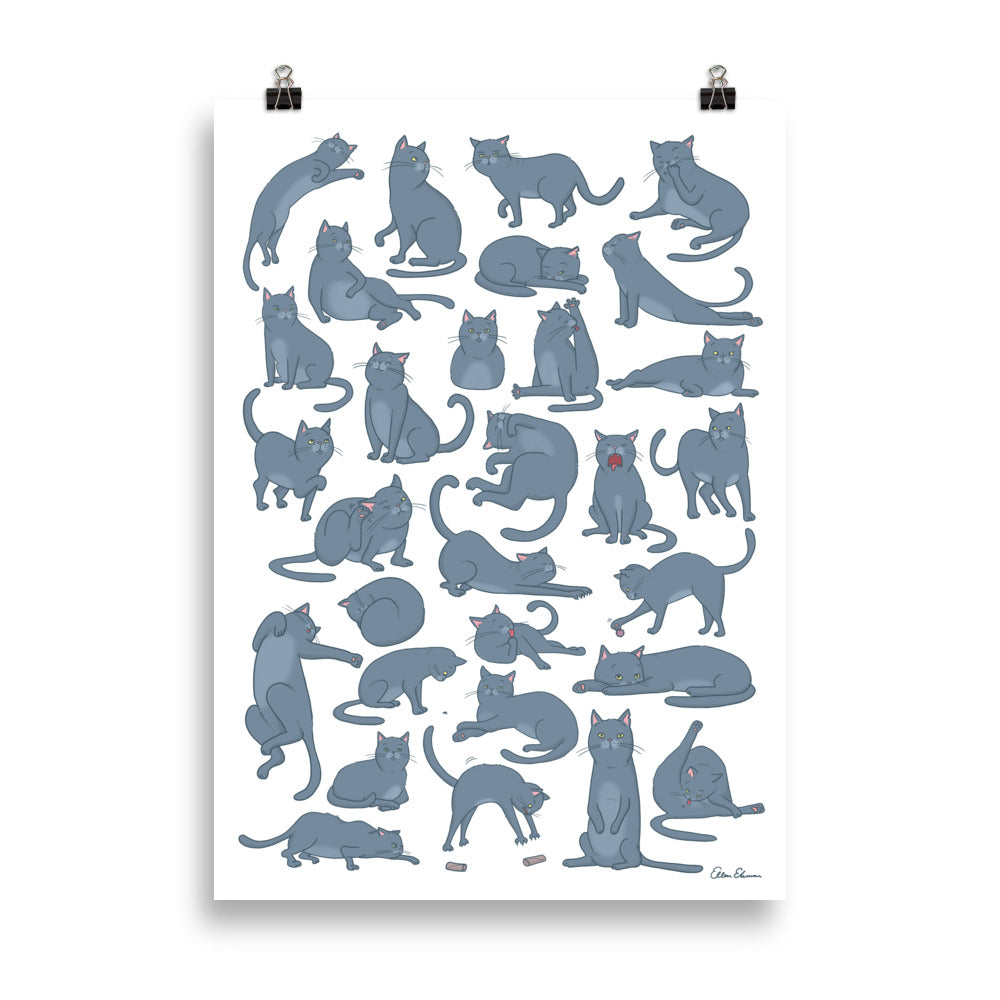 Hajen poster